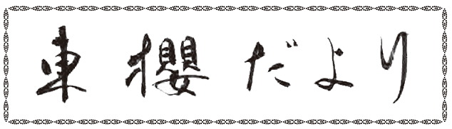 東櫻だより